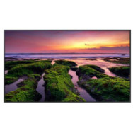 TV SAMSUNG  50P LED...