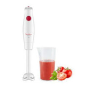 MIXEUR PLONGEANT TURB V2...