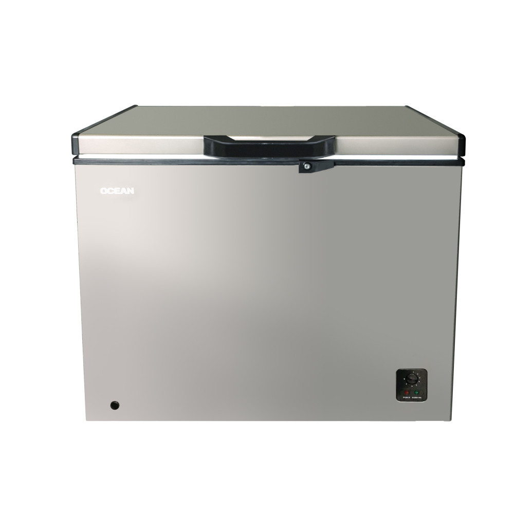Congélateur Coffre Silver 250 litres Océan