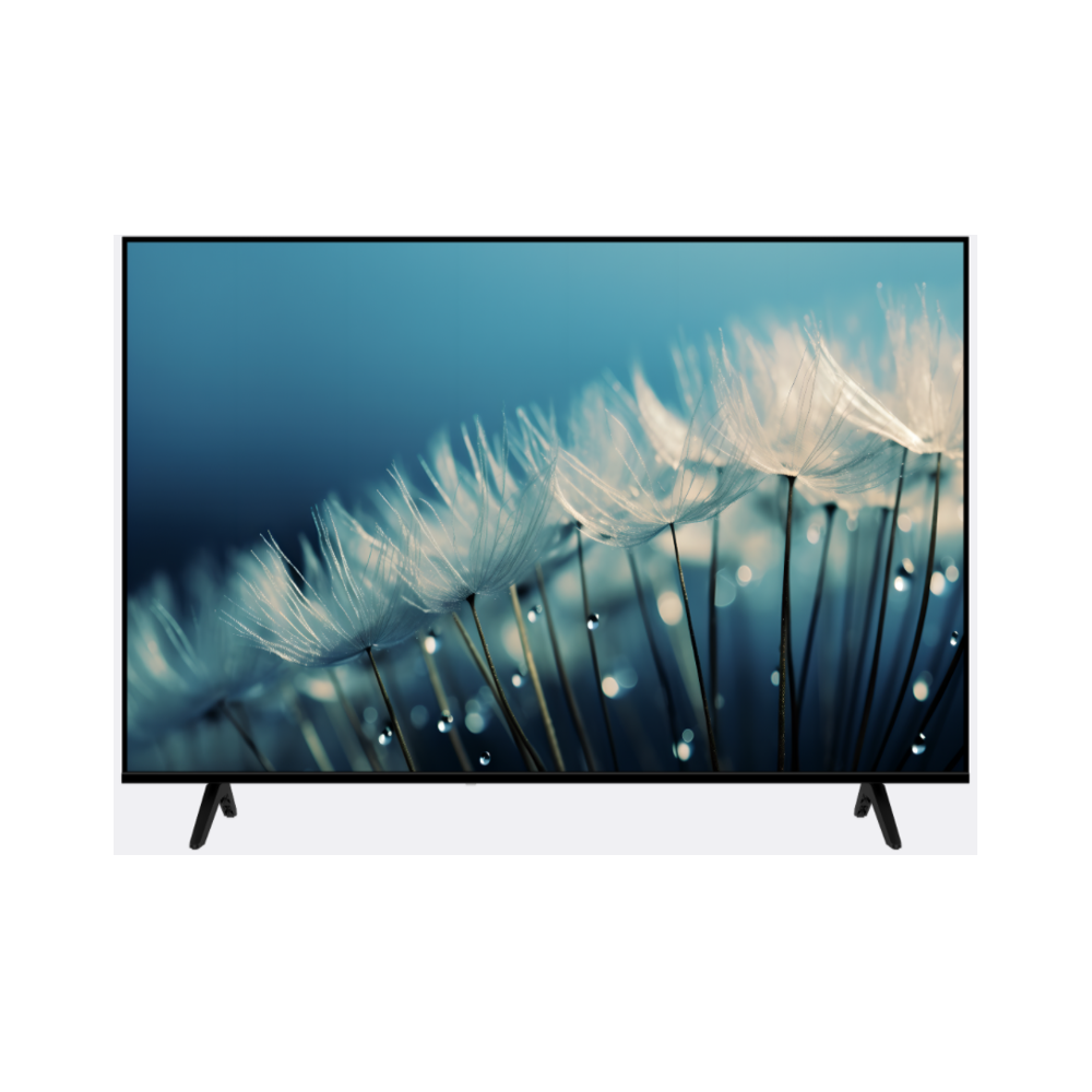 TV SCHNEIDER SMART QLED UHD 55P
